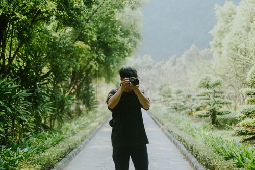 Free Explore the serenity of a lush garden as a photographer captures its beauty. Perfect for nature and photography enthusiasts. Stock Photo