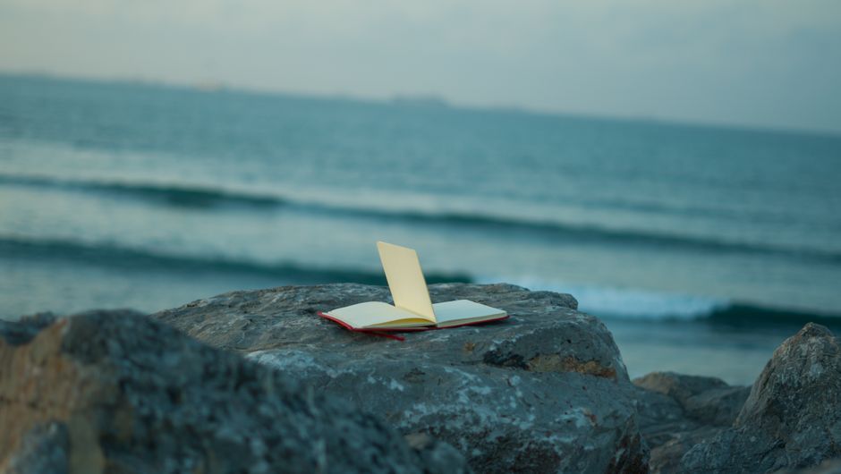 notebook natural light lifestyle photo 1