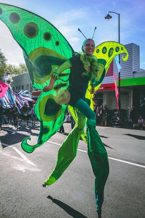 Free stock photo of carnival, celebration, costume