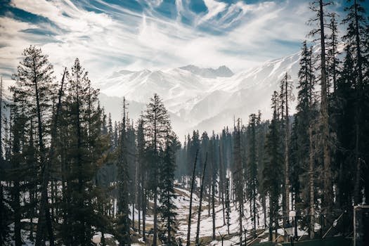 冬日晴空下，白雪皑皑的山脉与松林构成的景致令人惊叹