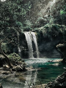 A tranquil waterfall cascading into a clear pool surrounded by lush greenery.