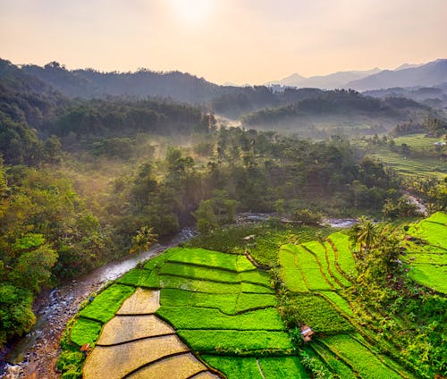 Terasering Sawah