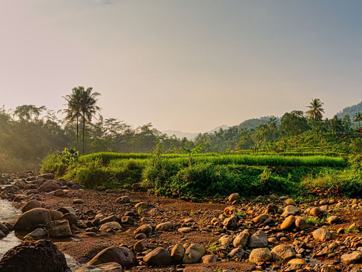 Bali Yogshala 3