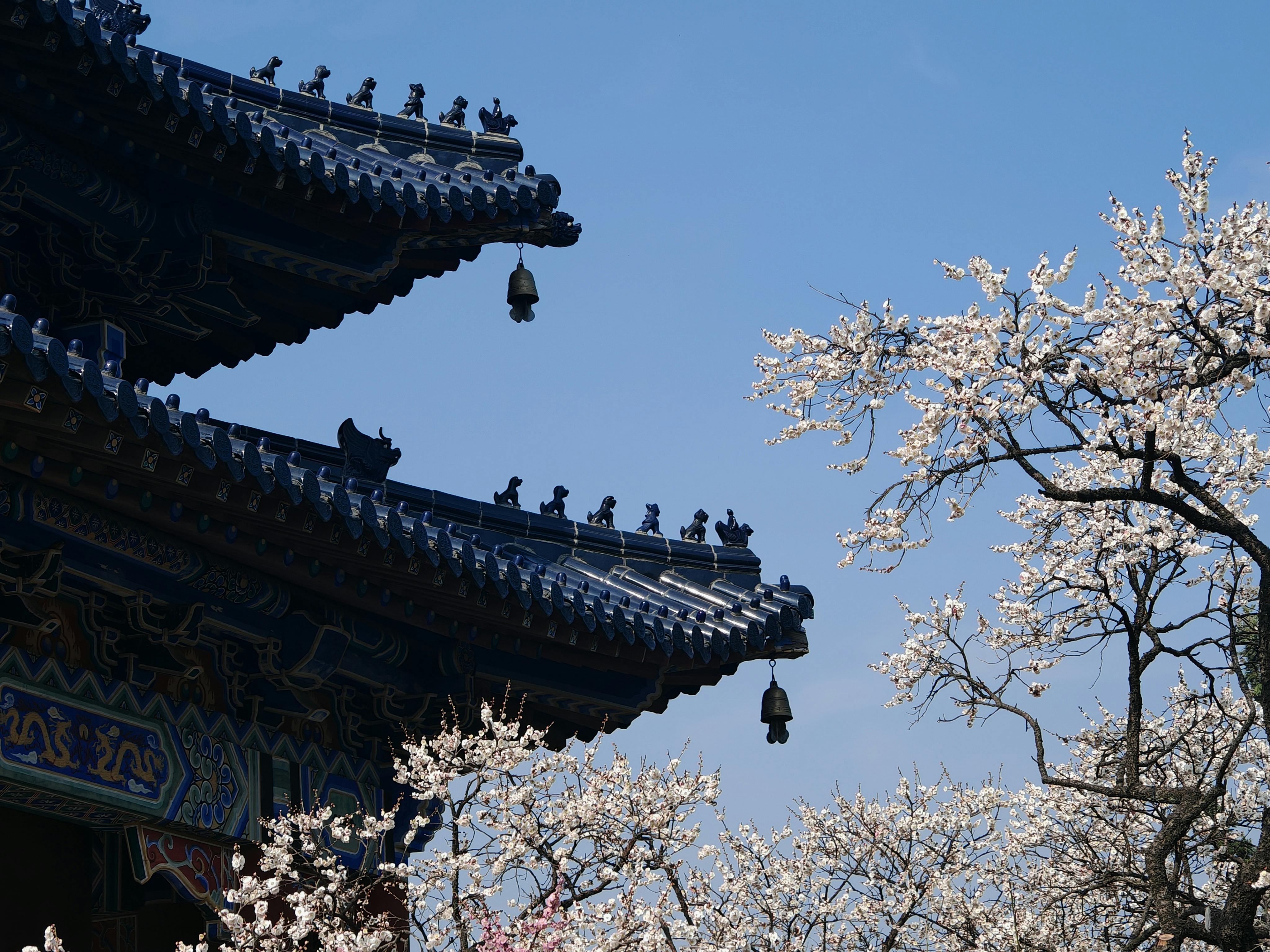 台灣熱門財神廟大蒐羅：招財祈福必訪的靈驗聖地