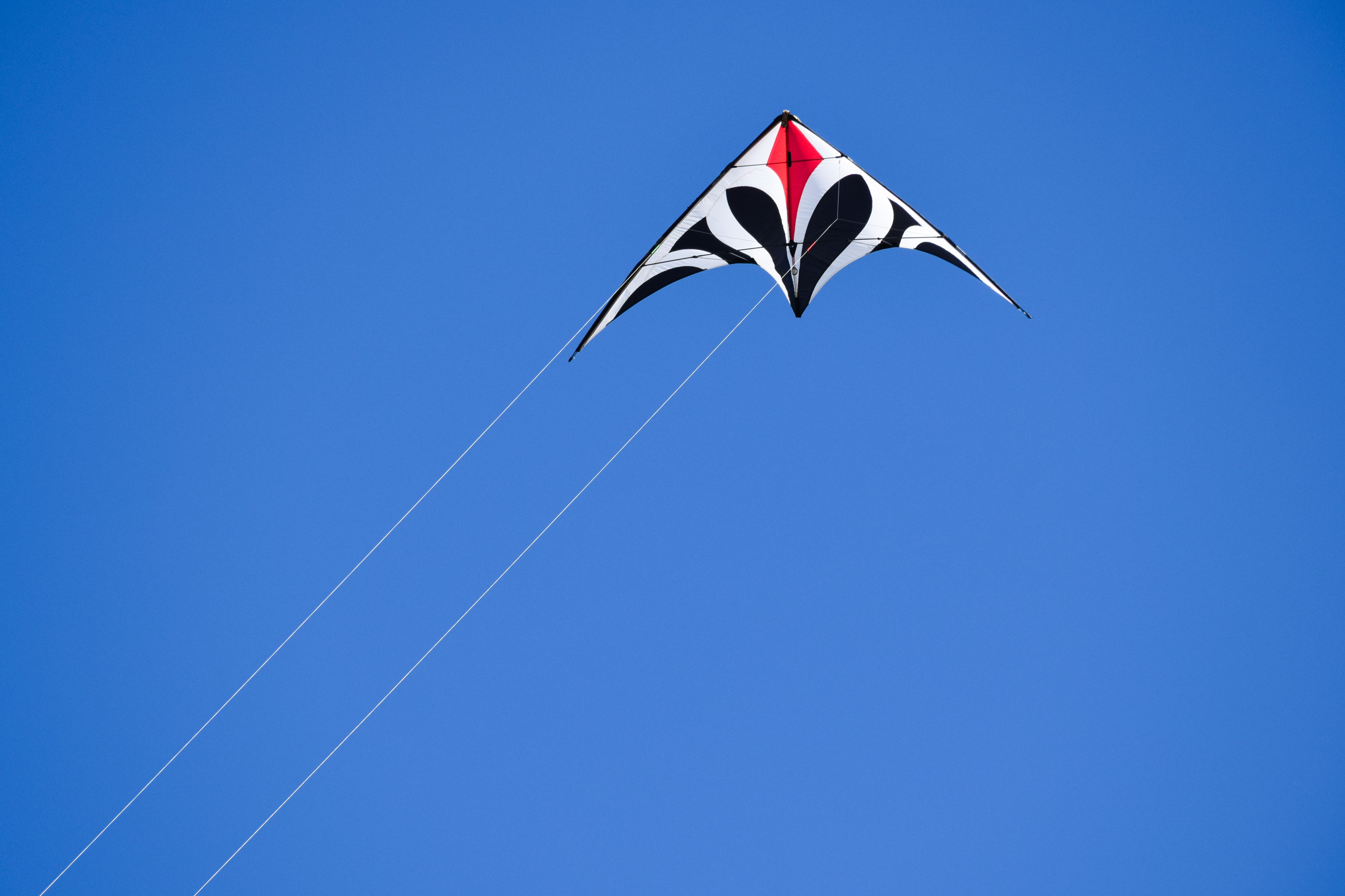 Colorful Kite Soaring in Blue Sky · Free Stock Photo