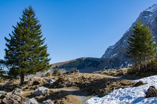 Serene landscape of Wildhaus-Alt Sankt Johann in springtime, showcasing mountains and evergreen trees.
