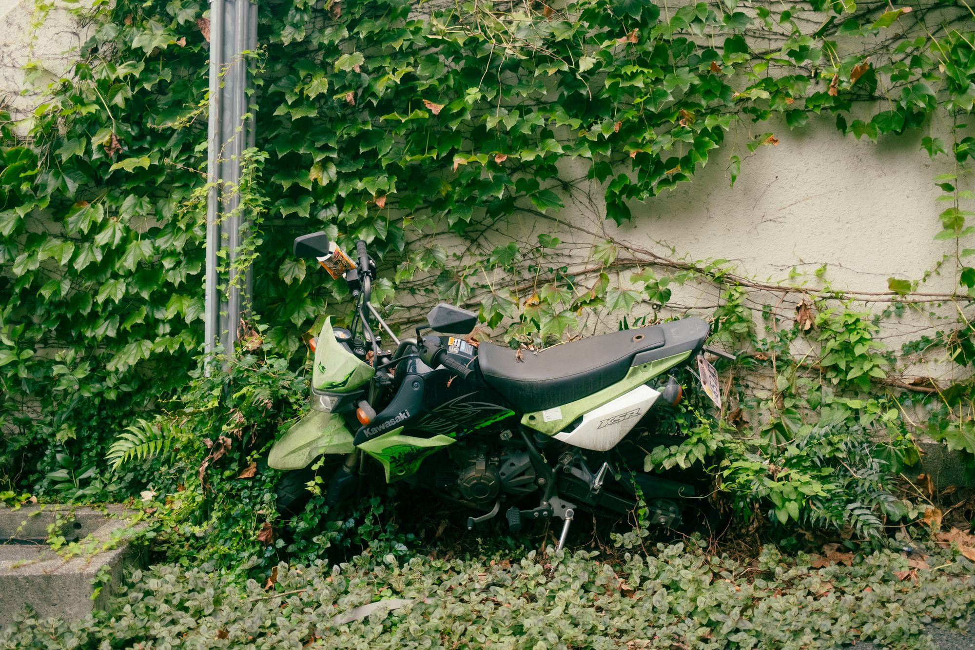 Kawasaki