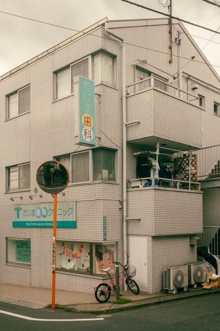 일본 마운자로 원정, 약 들고 못 돌아온다