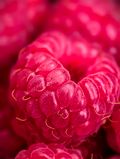 Macro of a ripe red raspberry, photo by Szilvia Pap on Pexels