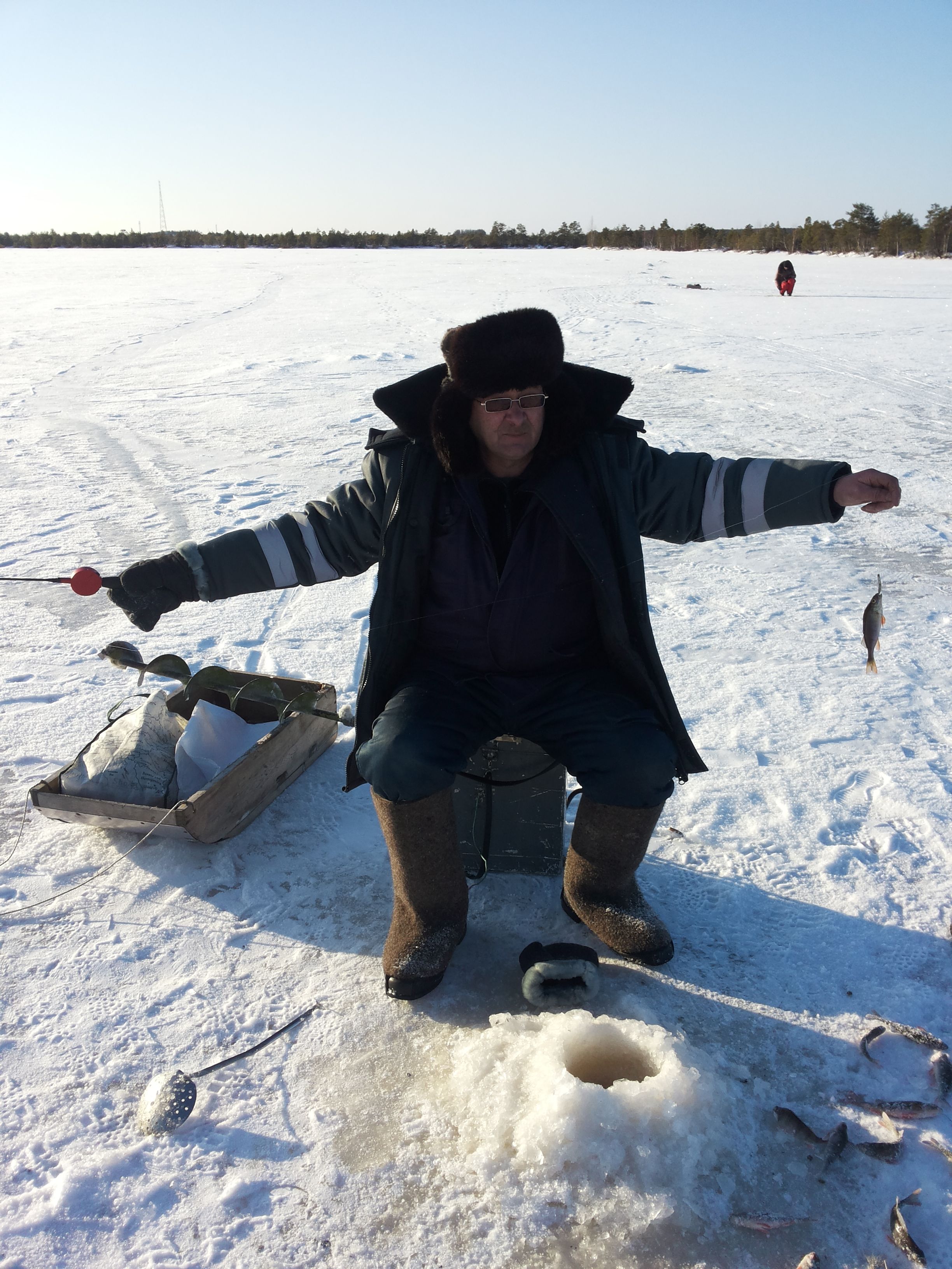 Man ice fishing on a frozen lake, catching fish in a snowy landscape.