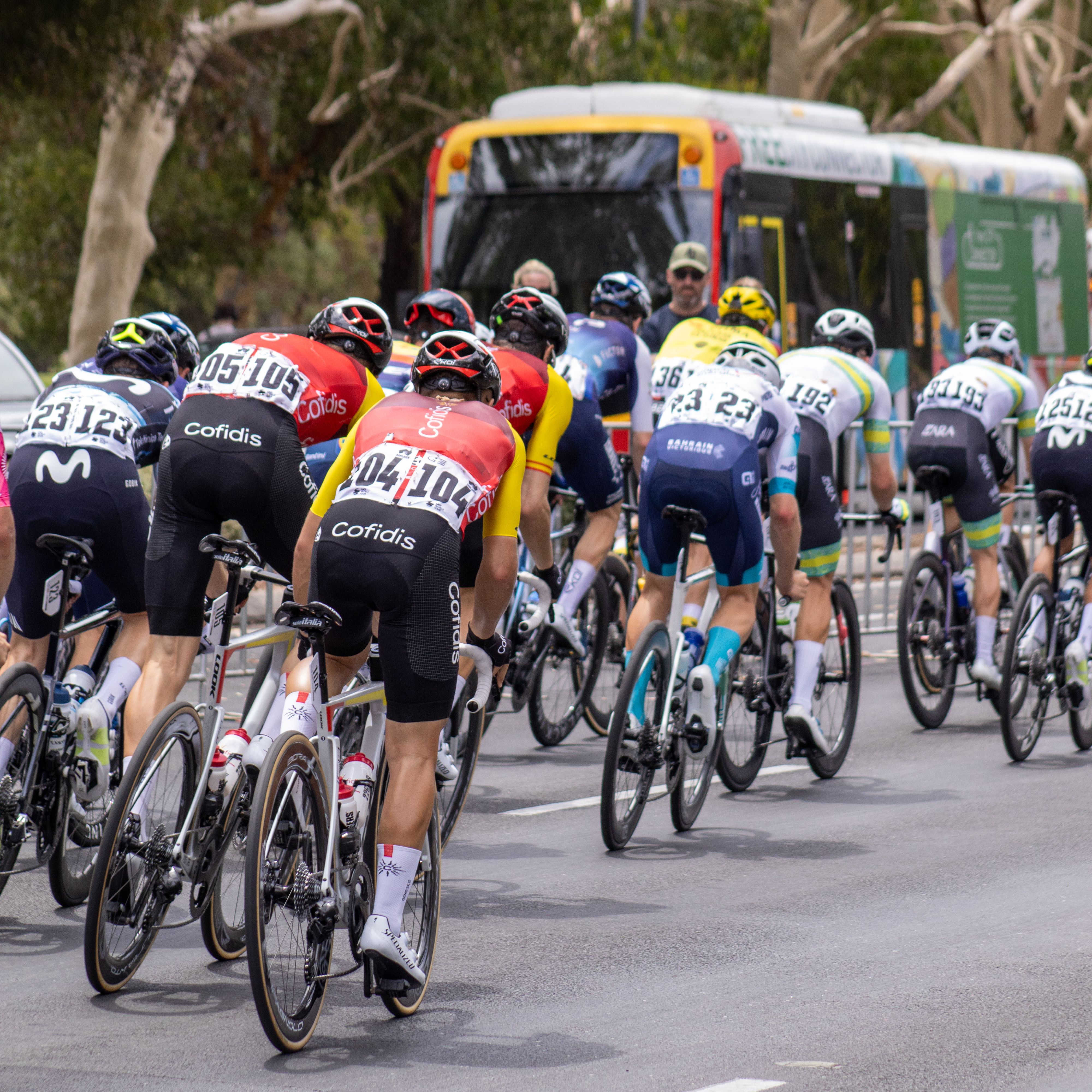 Professional Cyclists Competing in Adelaide Race · Free Stock Photo