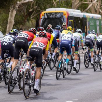 Peloton