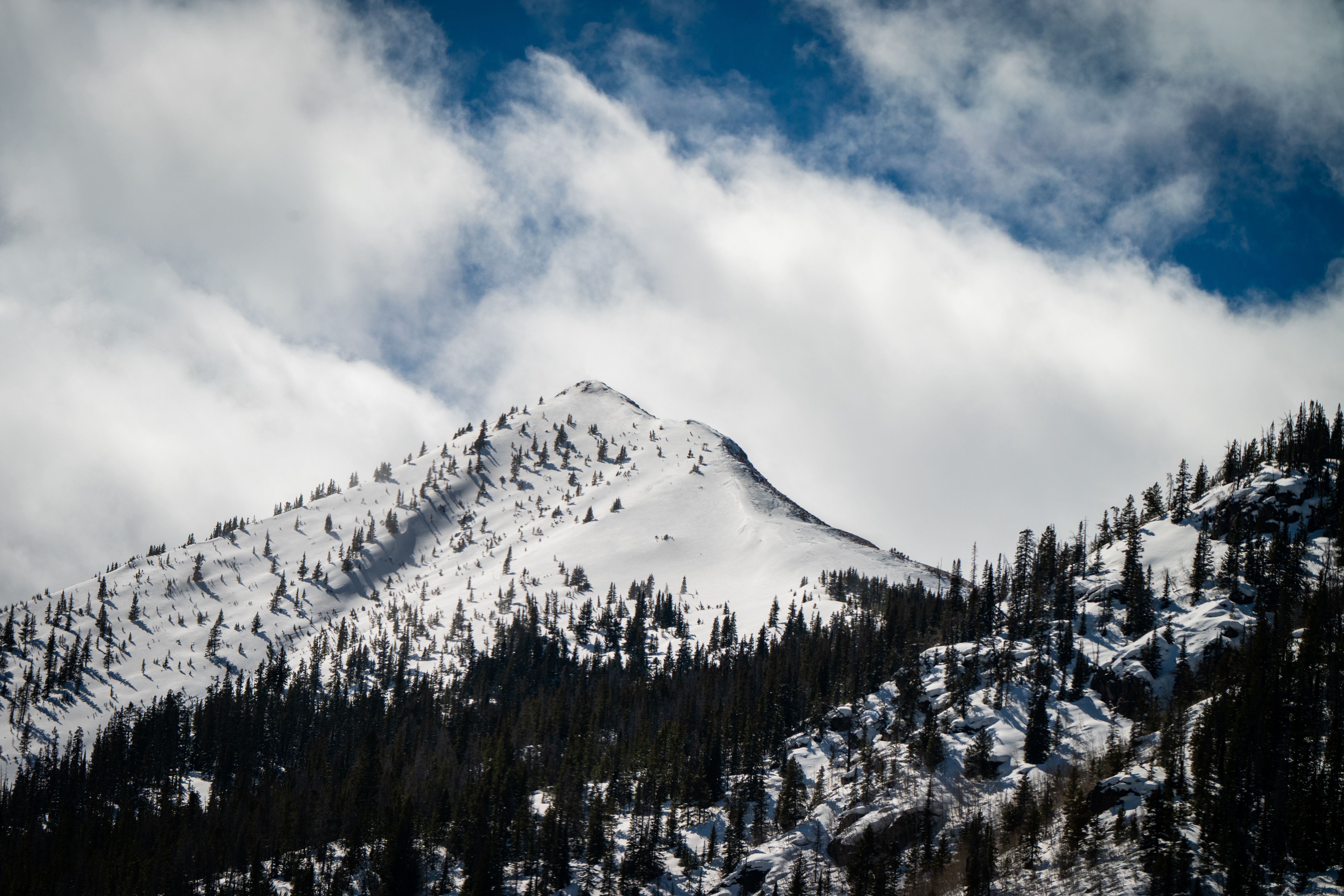 A breathtaking view of a snow-capped mountain peak surrounded by clouds and evergreen trees.