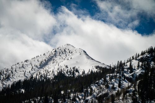 Free A breathtaking view of a snow-capped mountain peak surrounded by clouds and evergreen trees. Stock Photo