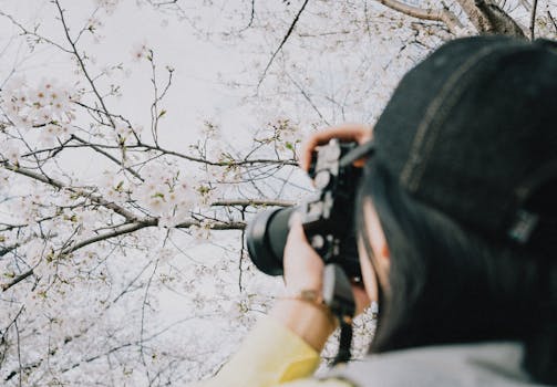 Photographer capturing cherry blossoms in spring, Tokyo. A serene moment of nature's beauty.