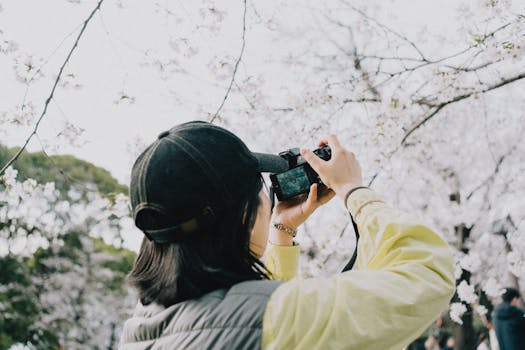 Photographer taking pictures of cherry blossoms in Tokyo, Japan during springtime.