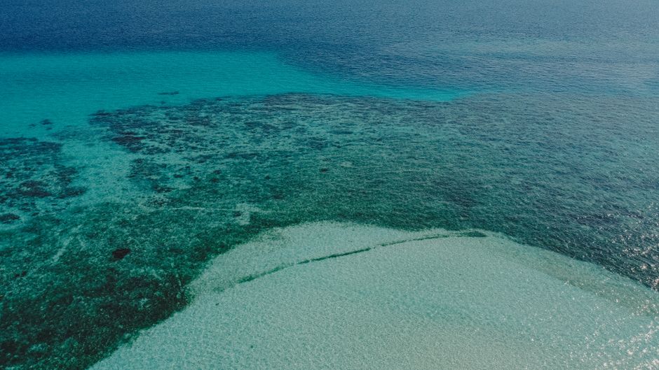 Pemuteran: Underwater Paradise and Conservation Efforts Pemuteran: Underwater Paradise and Conservation Efforts