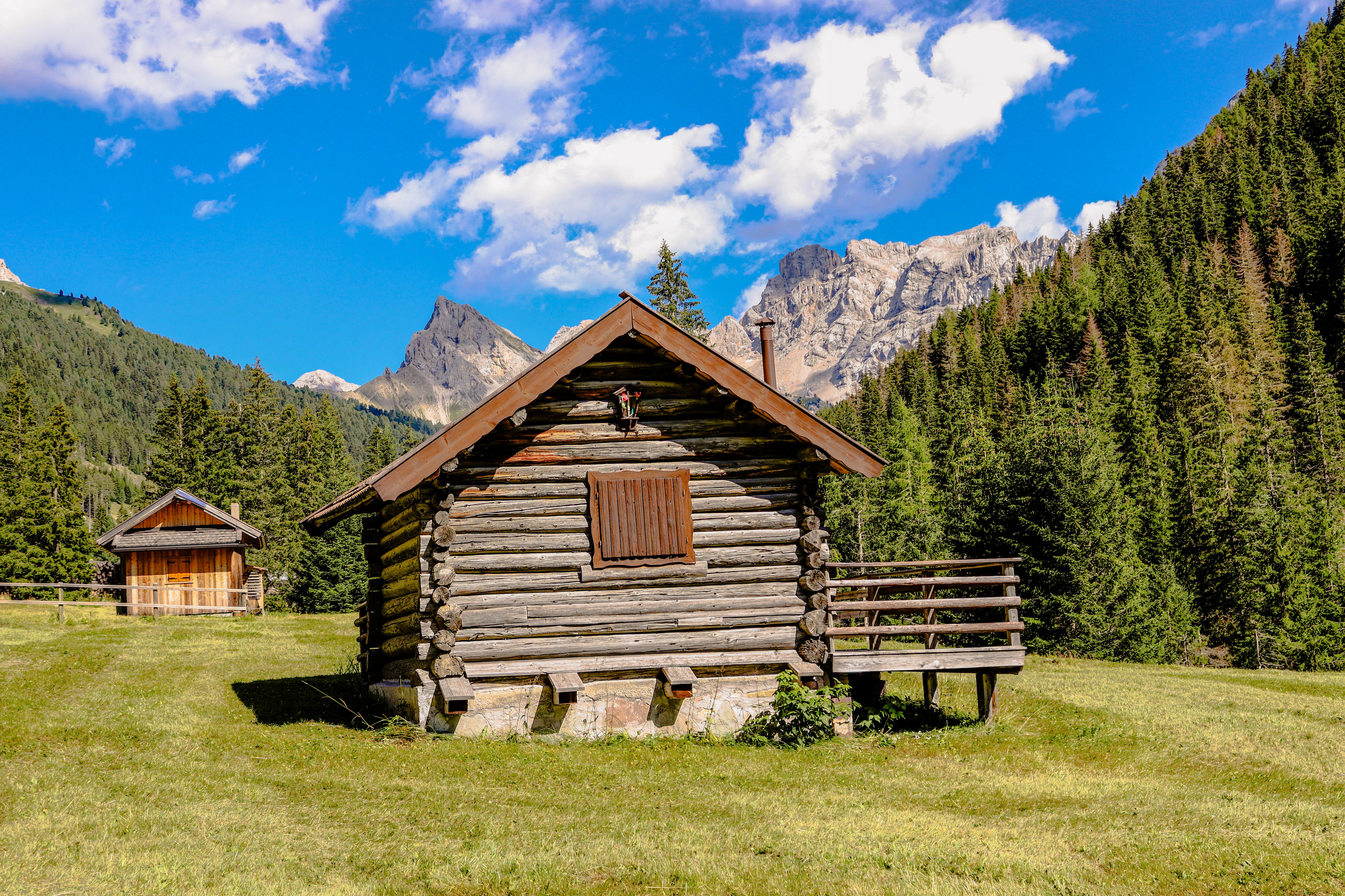 Cabane en rondins dans un paysage de montagne ensoleillé avec ciel bleu et pins.