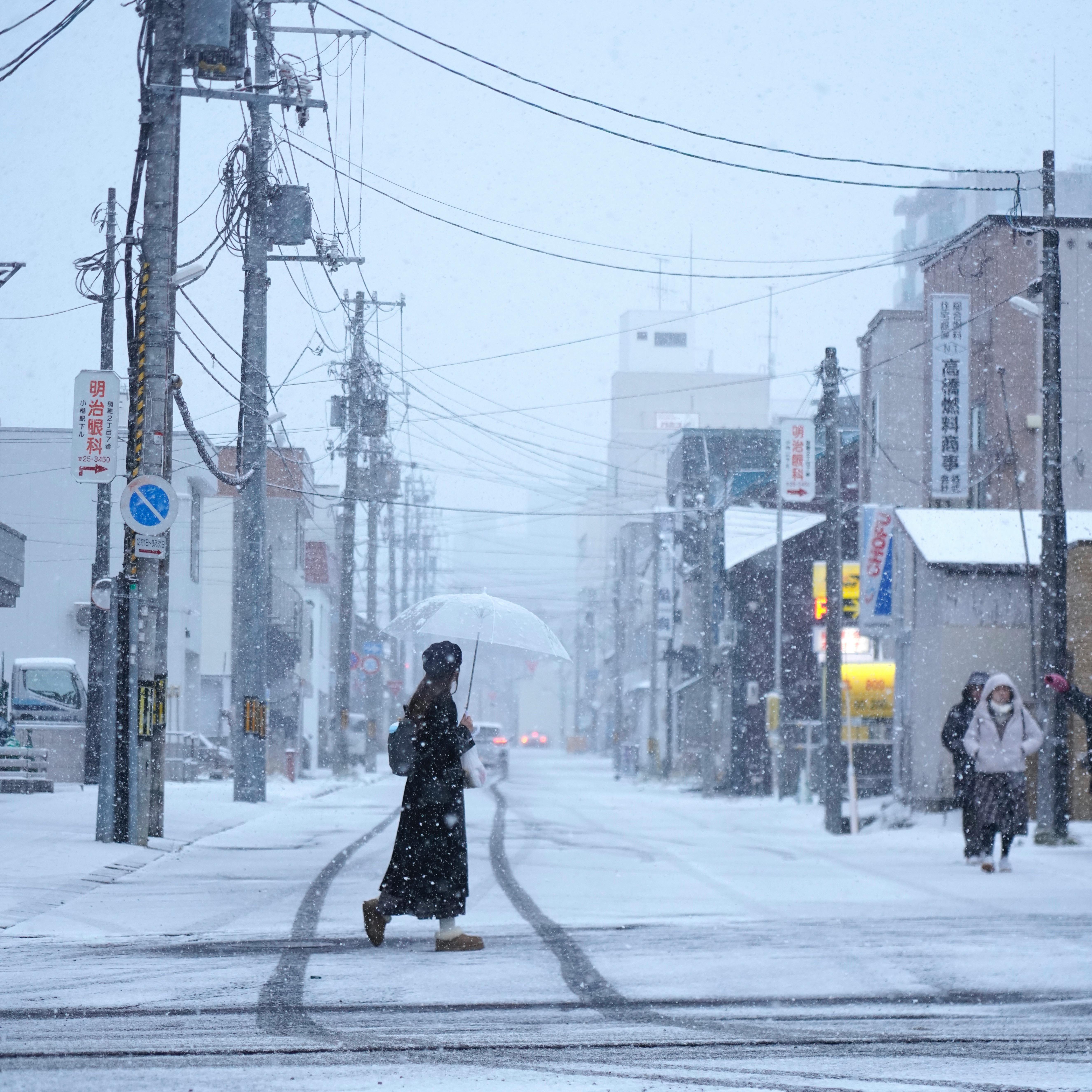 تي شيرت أخضر