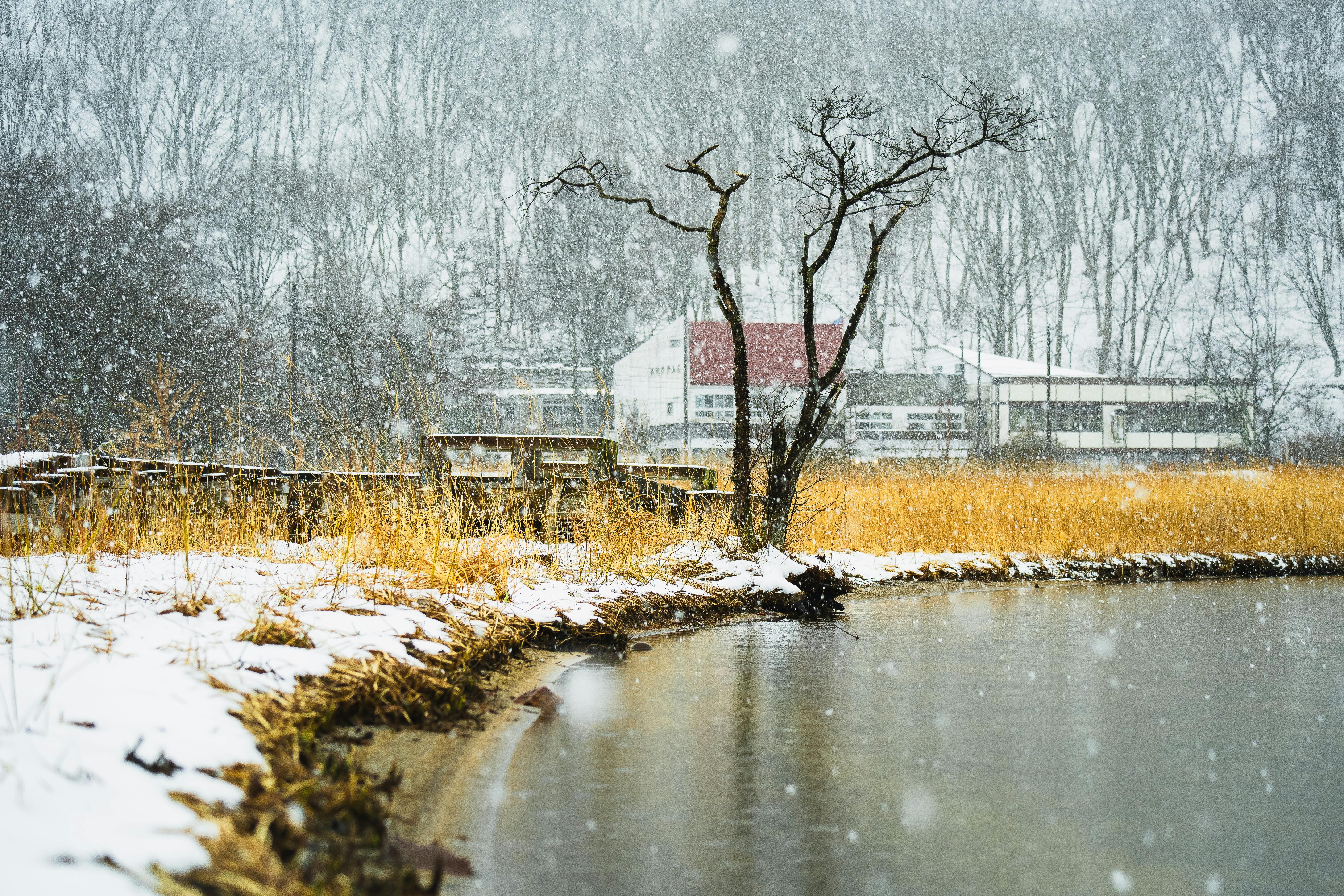 Snowy scene by the water in Takasaki, Japan. Peaceful and serene winter landscape.