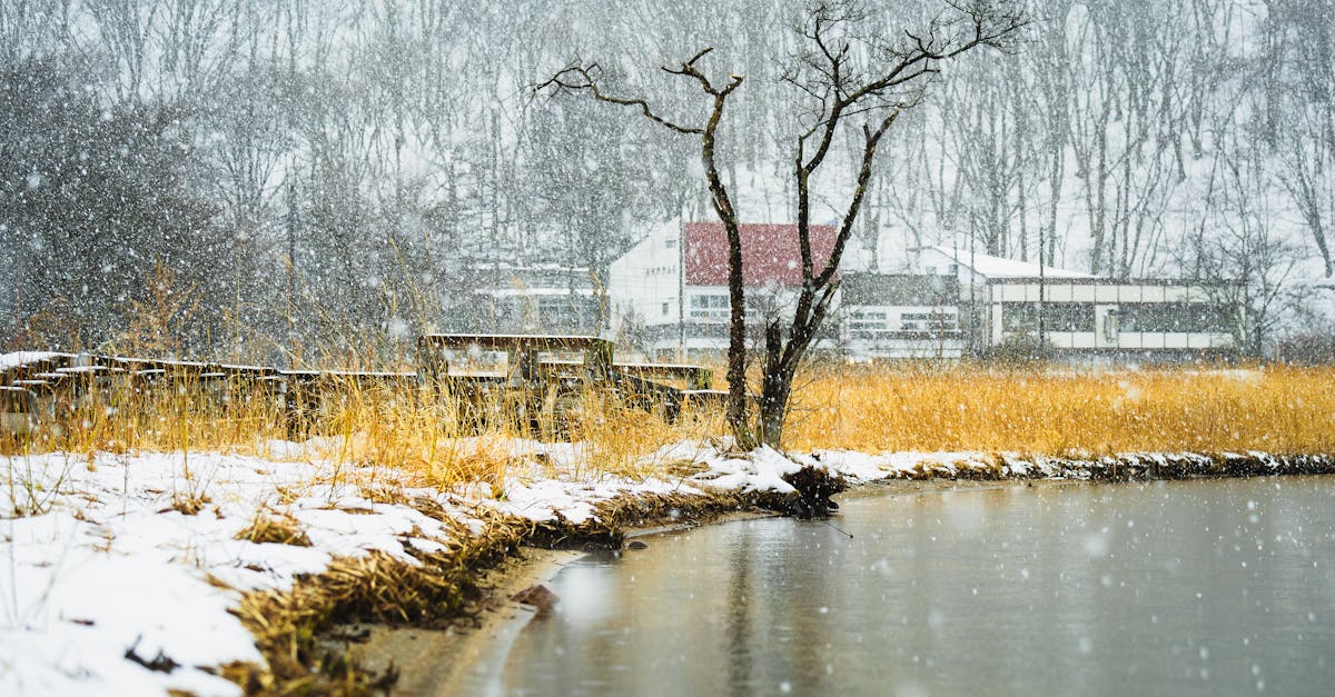 Snowy scene by the water in Takasaki, Japan. Peaceful and serene winter landscape.