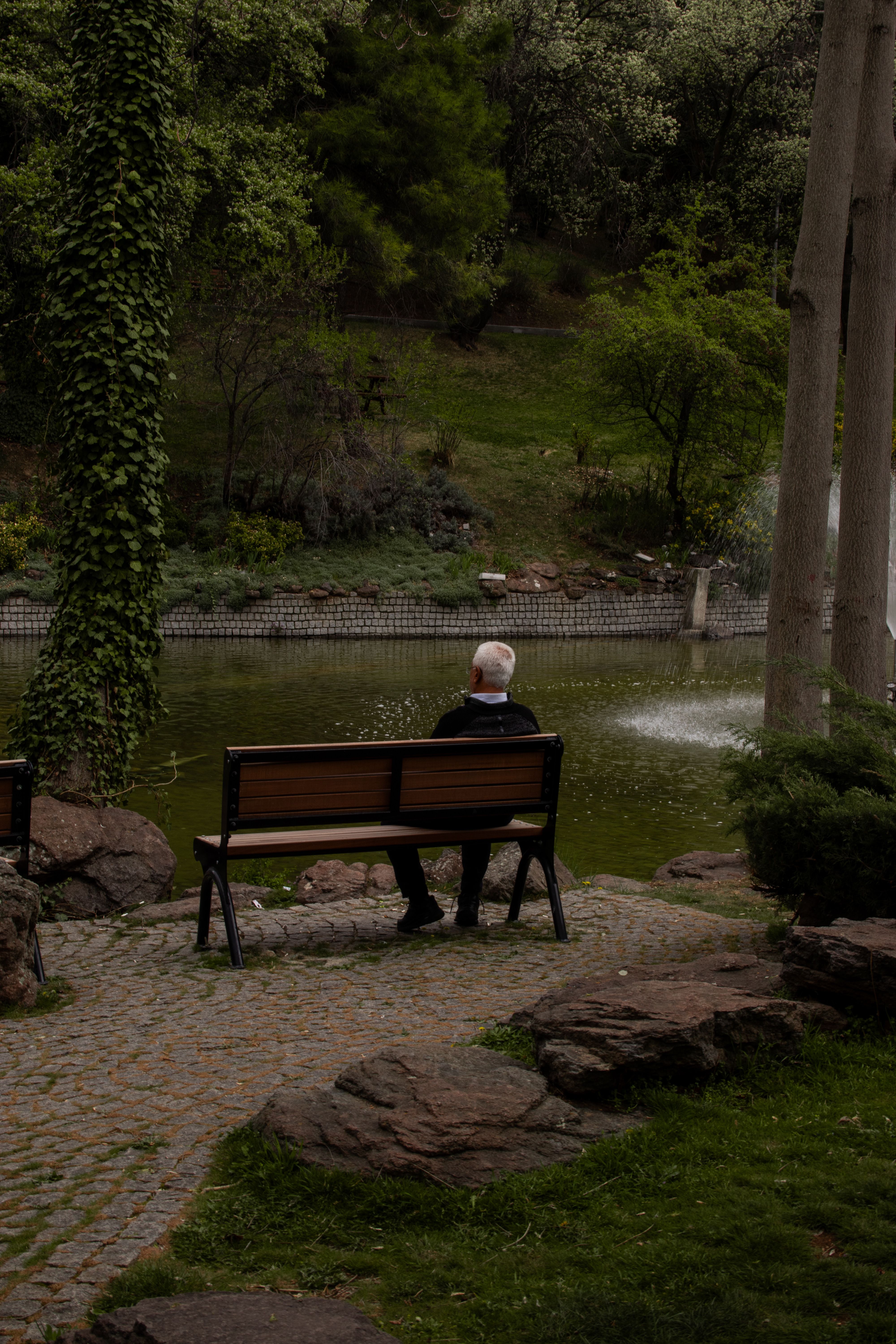 Serene Park View with Fountain and Elderly Man · Free Stock Photo