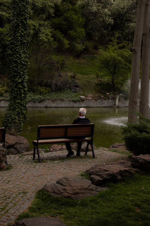 Free Elderly man sitting on a bench by a pond in a tranquil park setting. Stock Photo