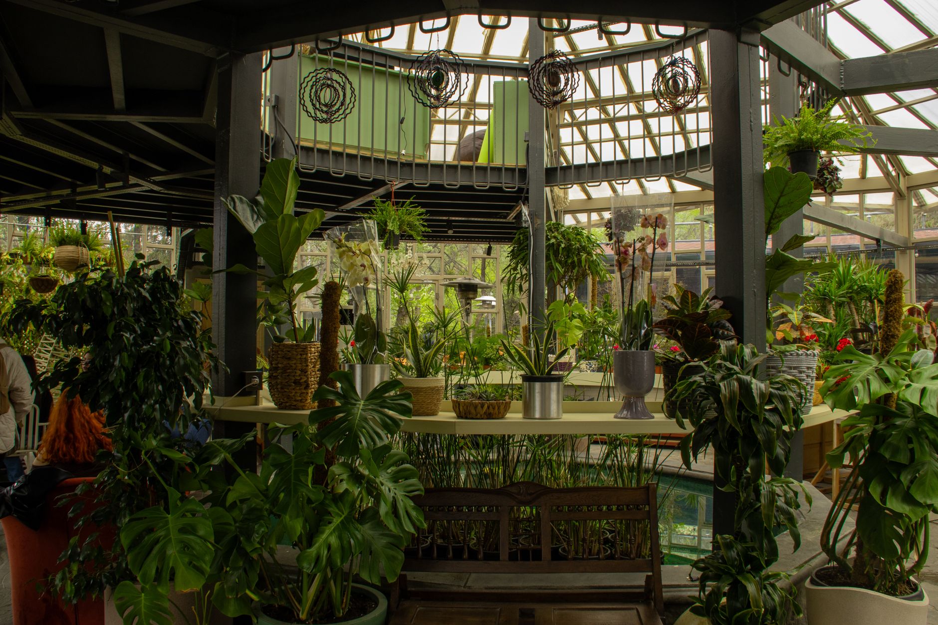 Best Indoor Garden for Beginners 2026