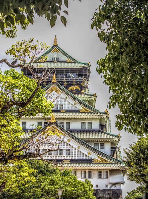 Free Beautiful view of Osaka Castle surrounded by vibrant greenery, capturing traditional Japanese architecture. Stock Photo