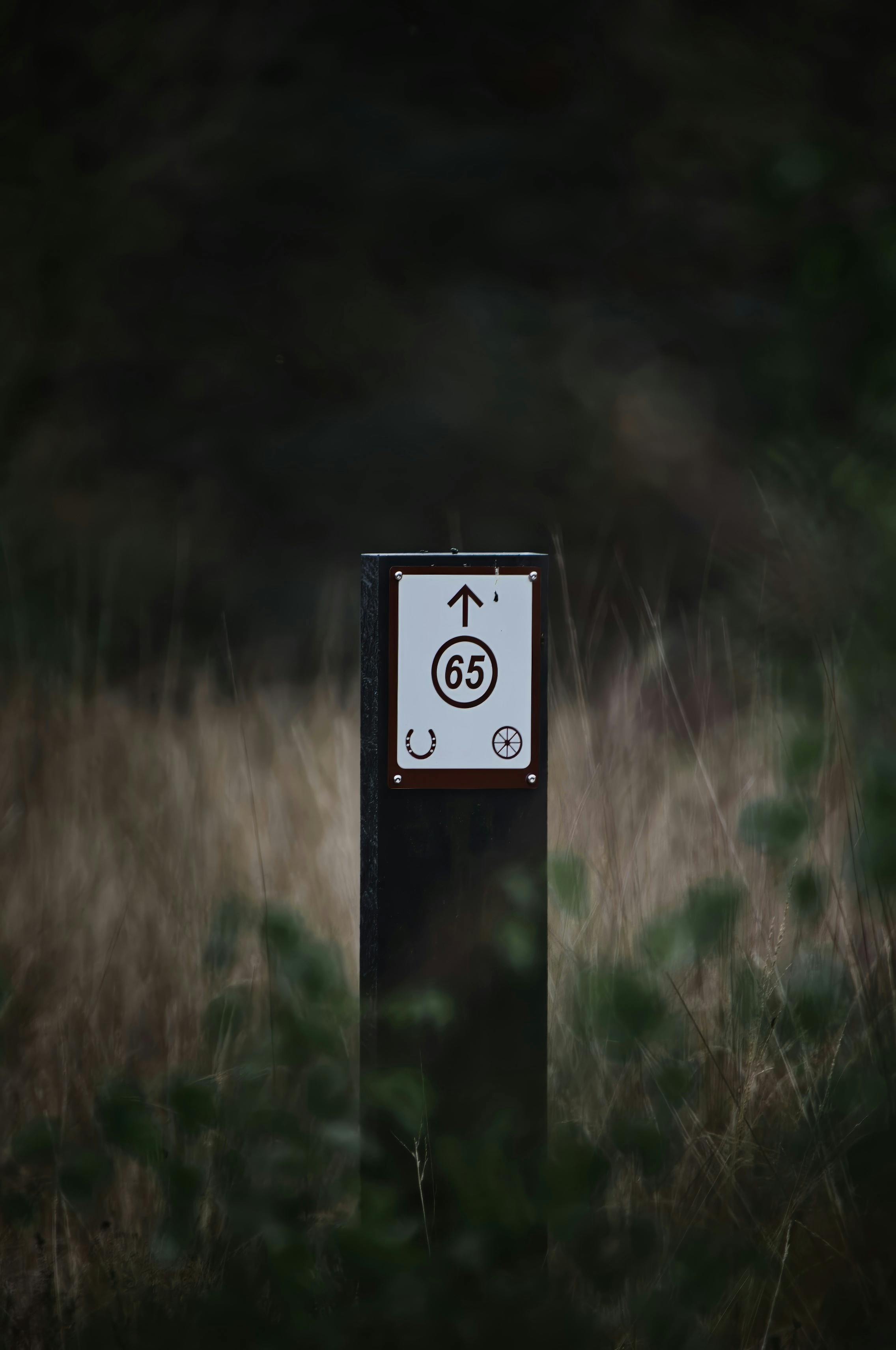 grátis Placa de madeira desgastada com marcador 65 em uma paisagem campestre. Foto profissional