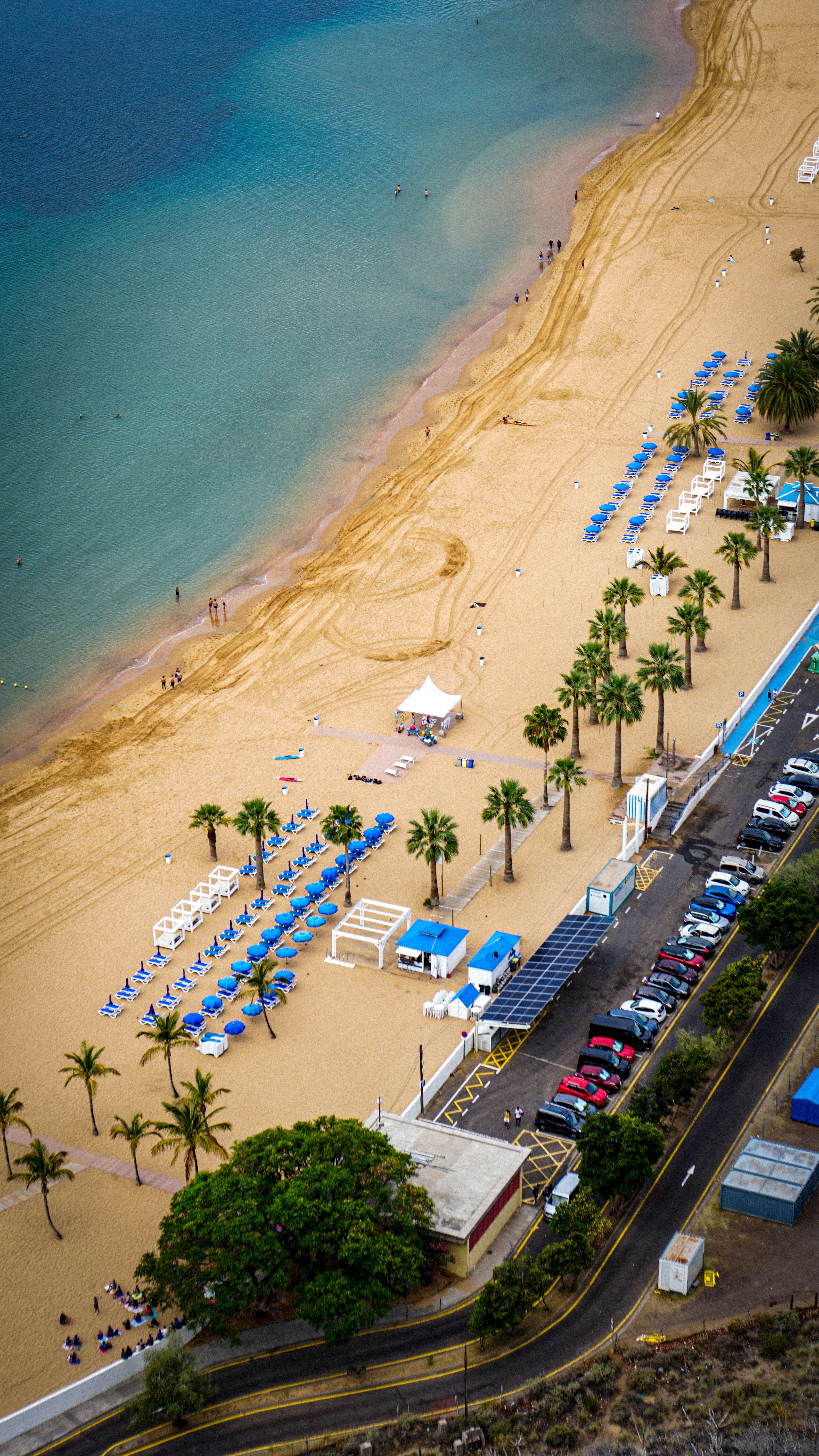 Aerial View of Sandy Beach with Palm Trees · Free Stock Photo