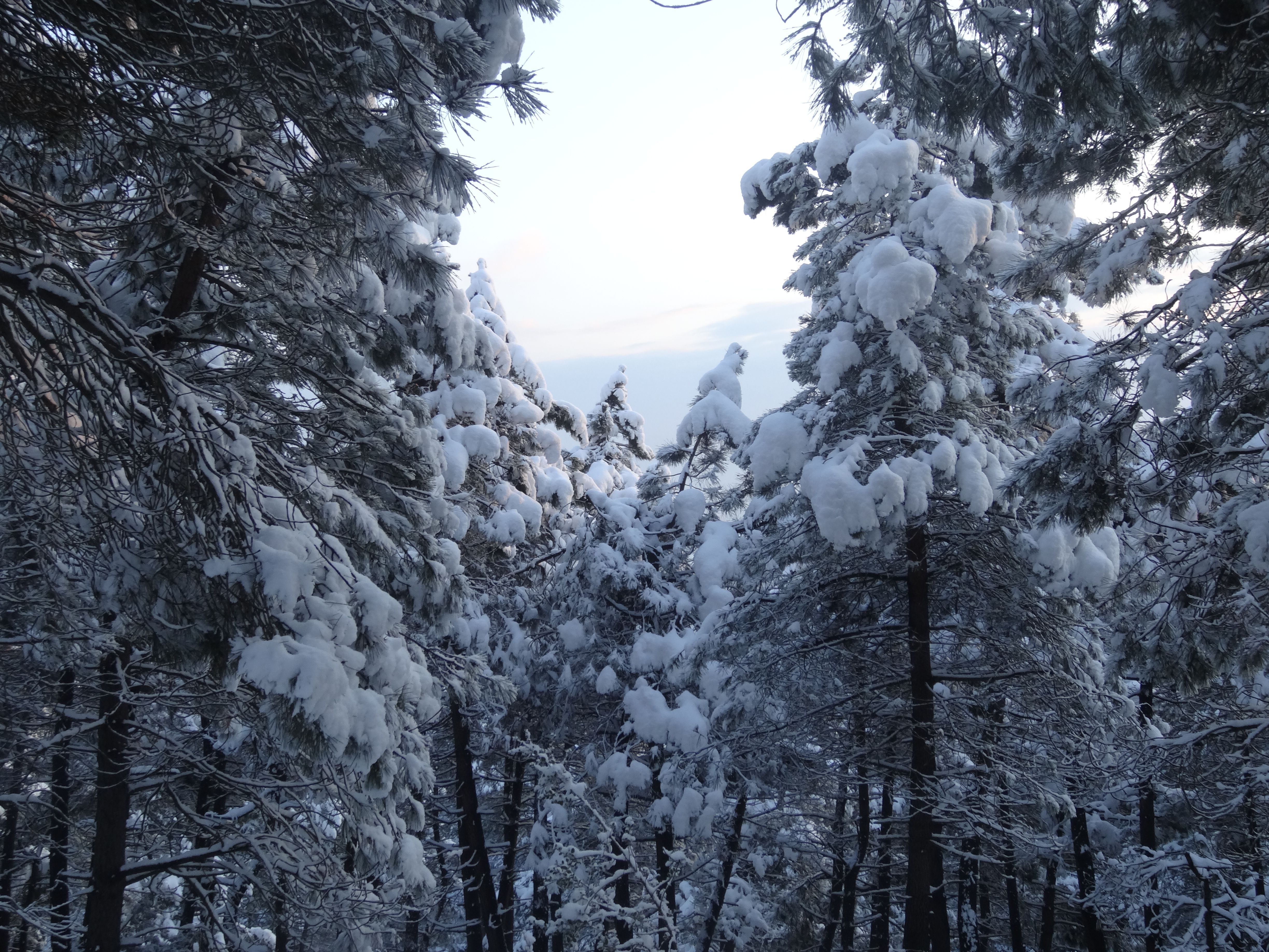 Snowy peaks of Troodos Mountains in Cyprus