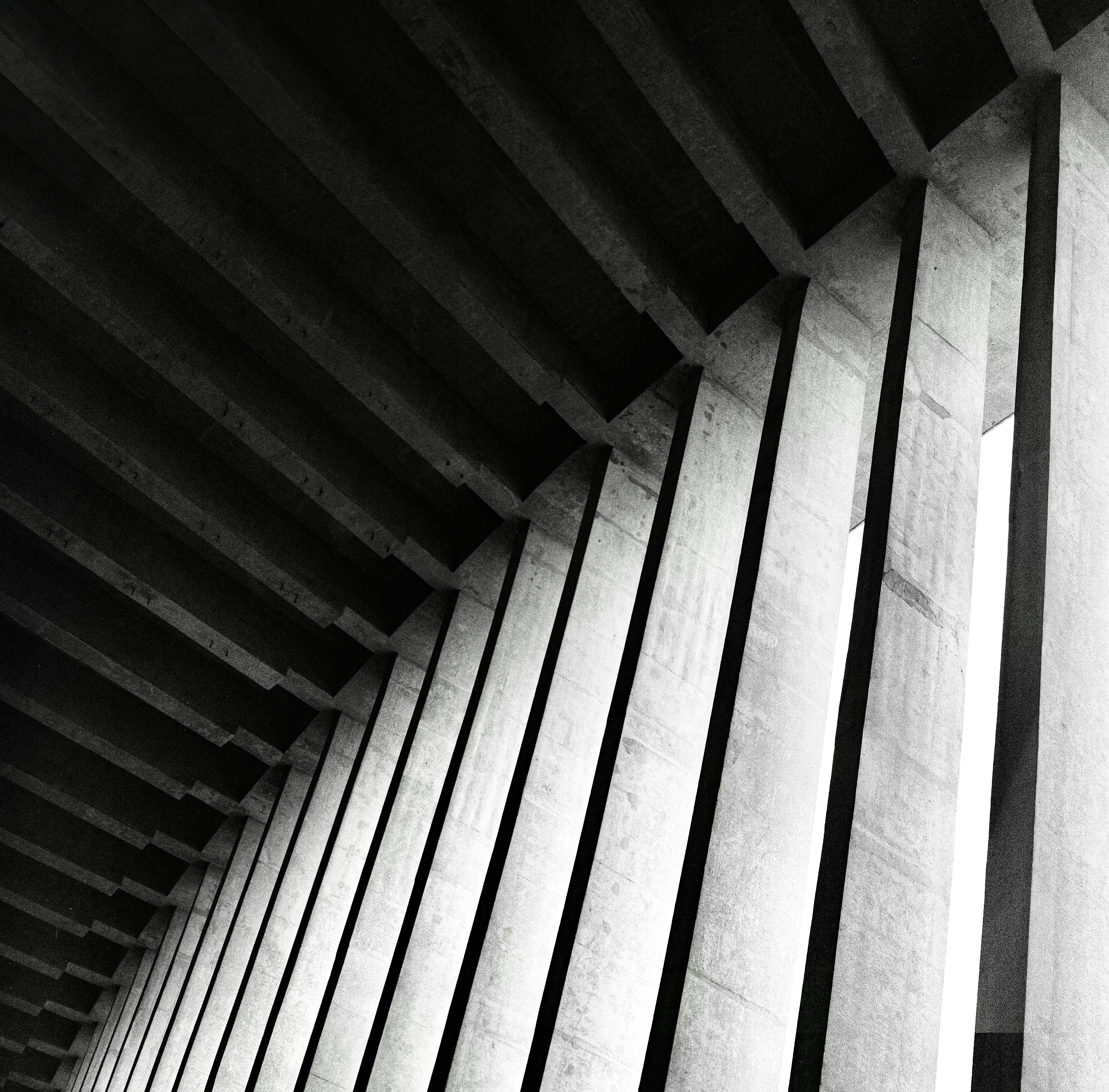 Black and white image showing the striking symmetry of concrete columns from a low angle.