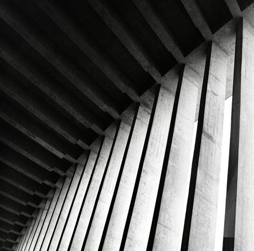 Free Black and white image showing the striking symmetry of concrete columns from a low angle. Stock Photo