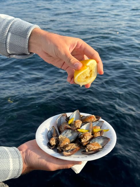 Freshly prepared mussels with lemon by the Bosphorus, a taste of Istanbul.
