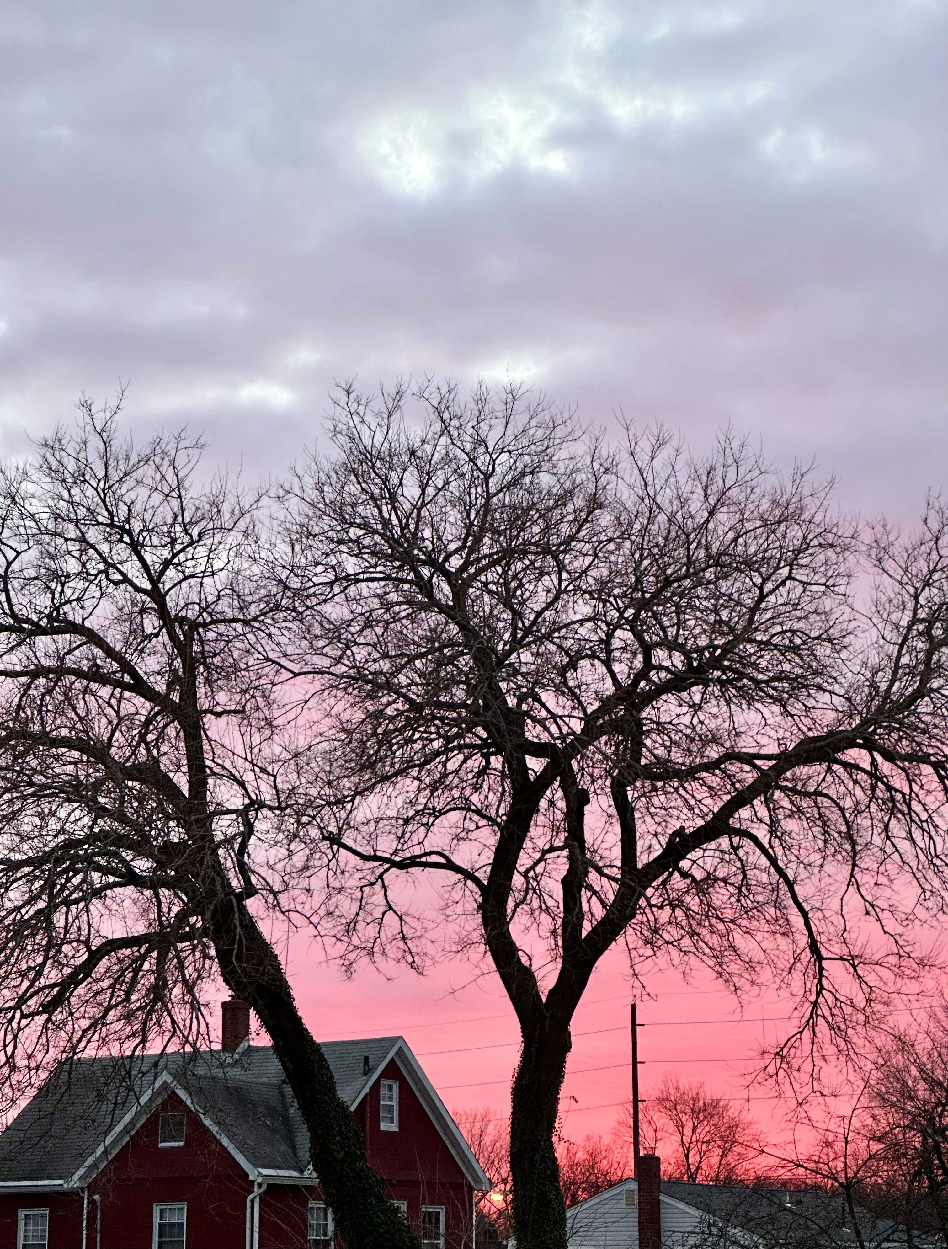 Charming Winter Scene with Bare Trees at Sunset · Free Stock Photo