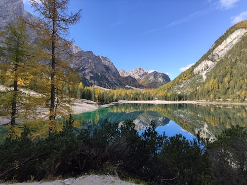 Zdjęcie Lake Scenery