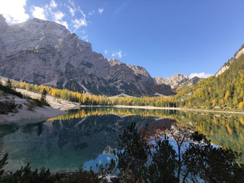 Ağaçlar Ve Dağlar Arasındaki Gölün Manzaralı Fotoğrafı