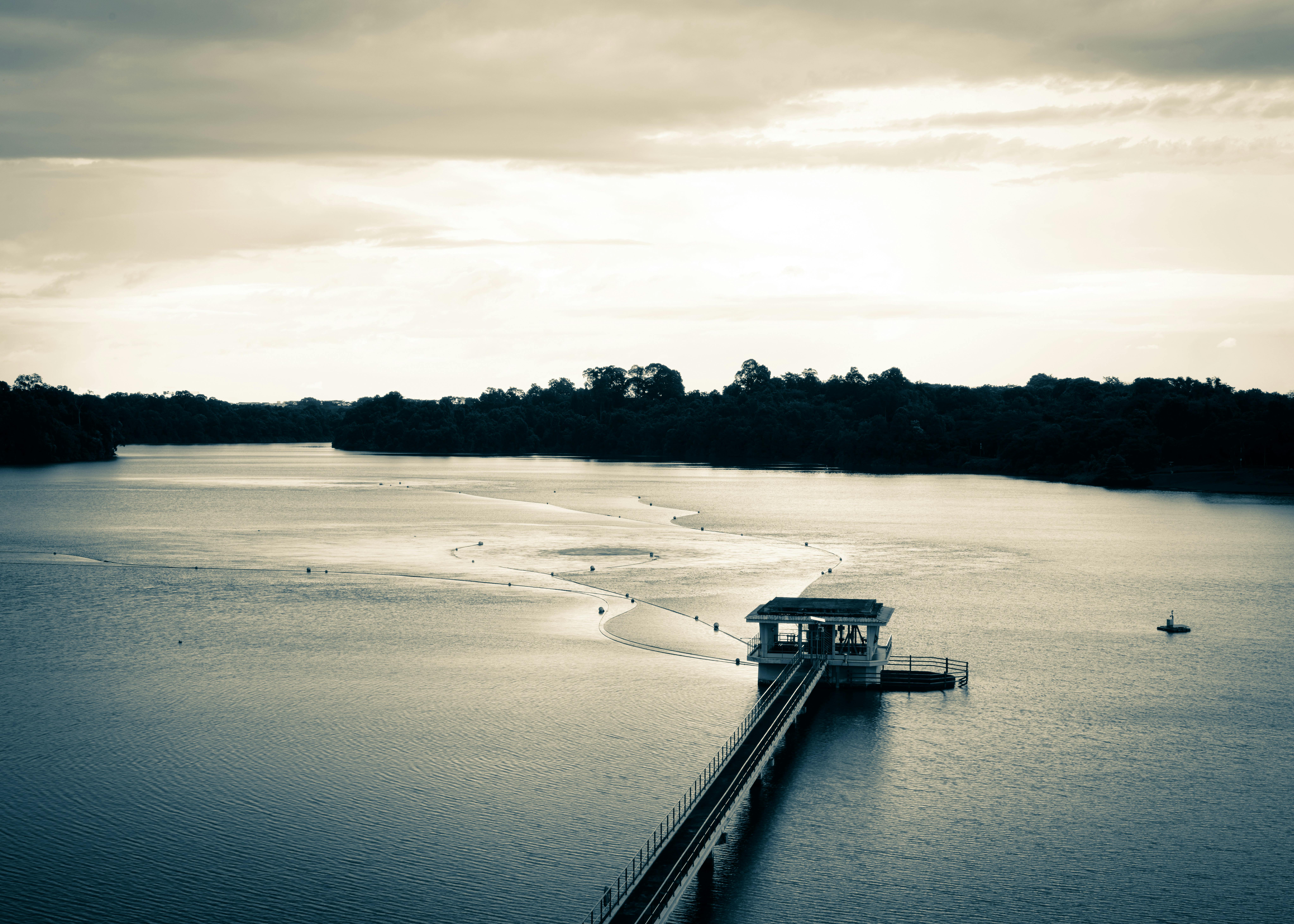 Serene aerial view of MacRitchie Reservoir in Singapore with reflective water and distant greenery, creating a tranquil atmosphere.
