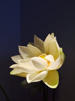 Siap-siap Nonton! Season 3 Finale The White Lotus dan Bocoran Season 4 - siap-siap 1