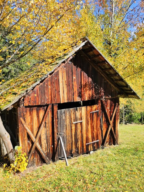 Free stock photo of old house