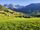 green valley
