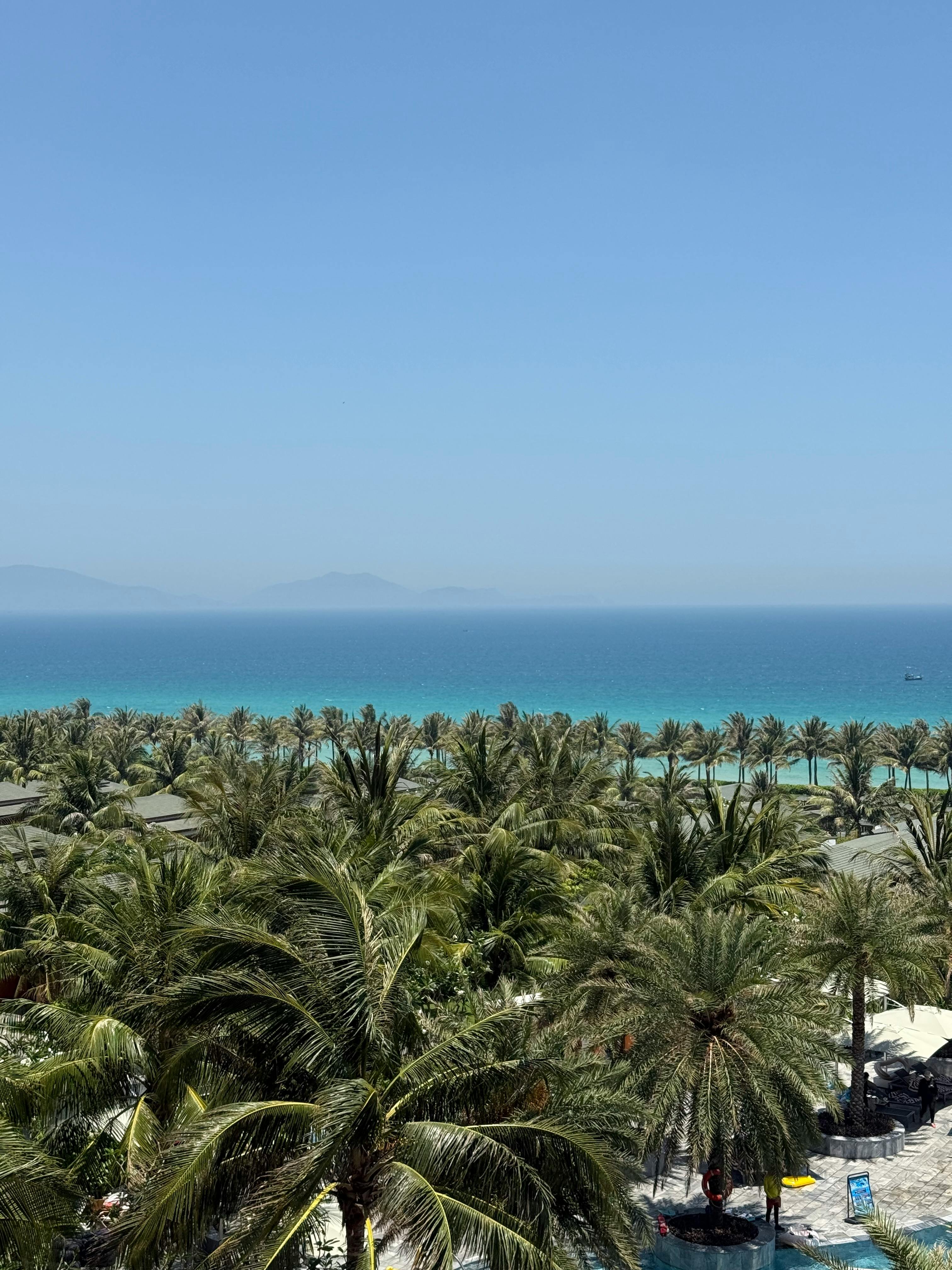 A breathtaking view of a tropical beachfront lined with palm trees under a clear blue sky.
