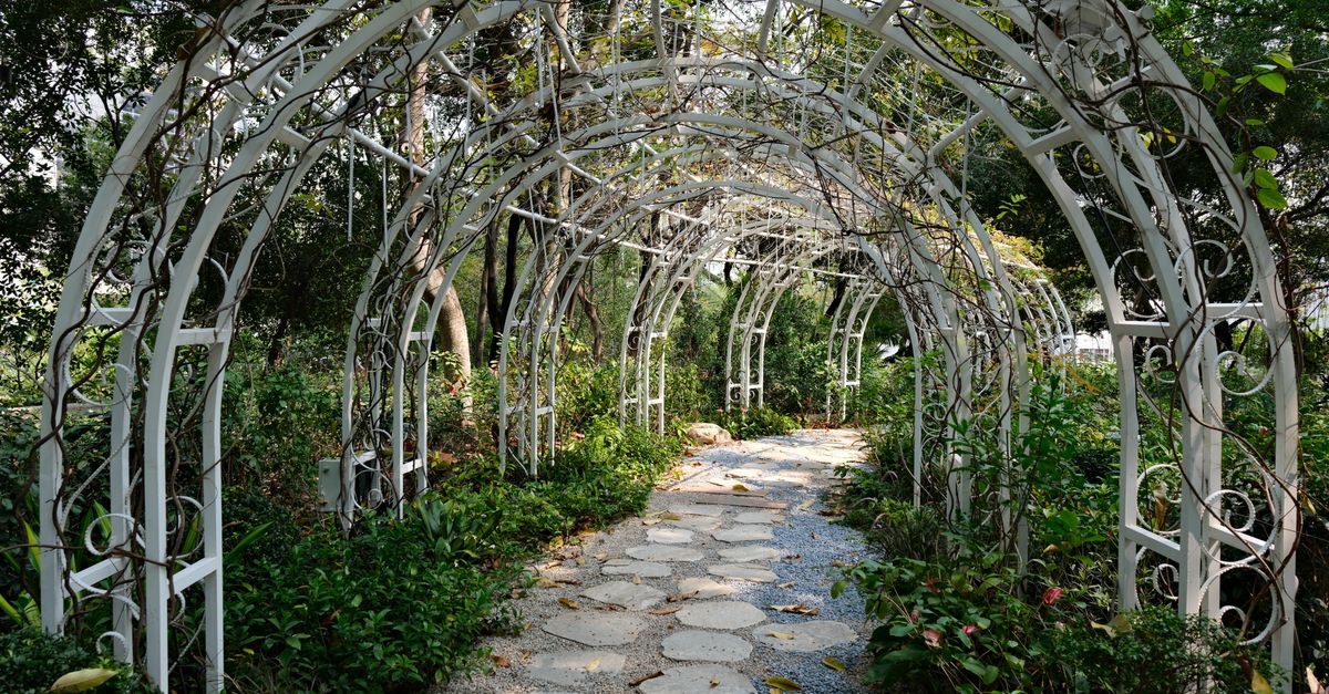 Réalisation Pergola à Waterloo Détail Pergola à Waterloo - Creative Solution