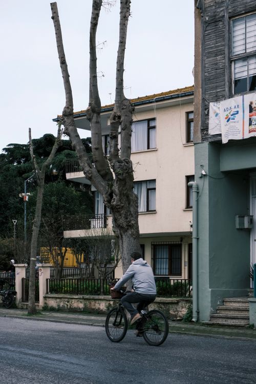Free A cyclist rides past classic architecture in an İstanbul street, capturing urban charm and tranquility. Stock Photo