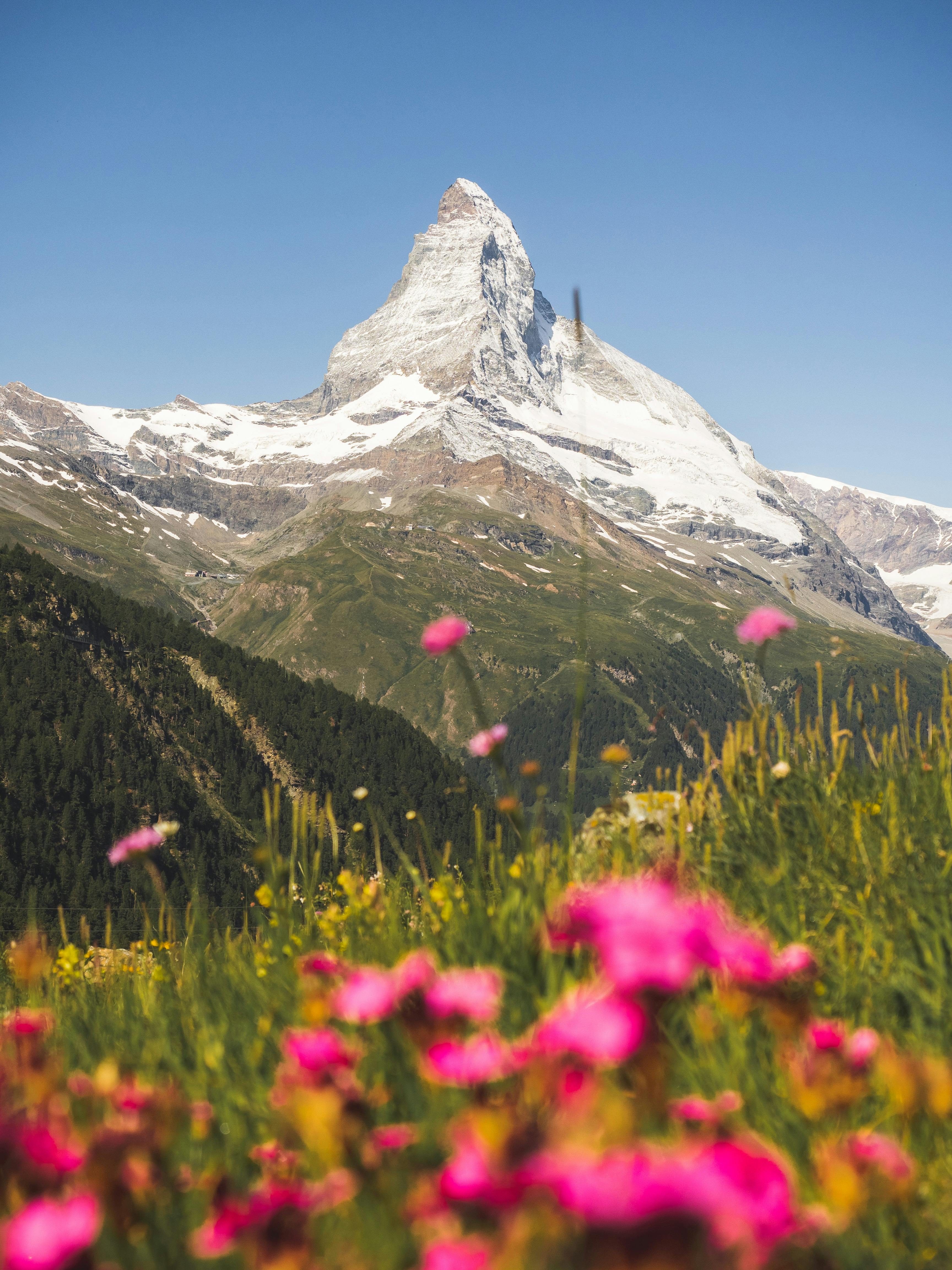 Panorama Racławicka – unikalne dzieło malarstwa i pamięci - Ilustracja do artykułu