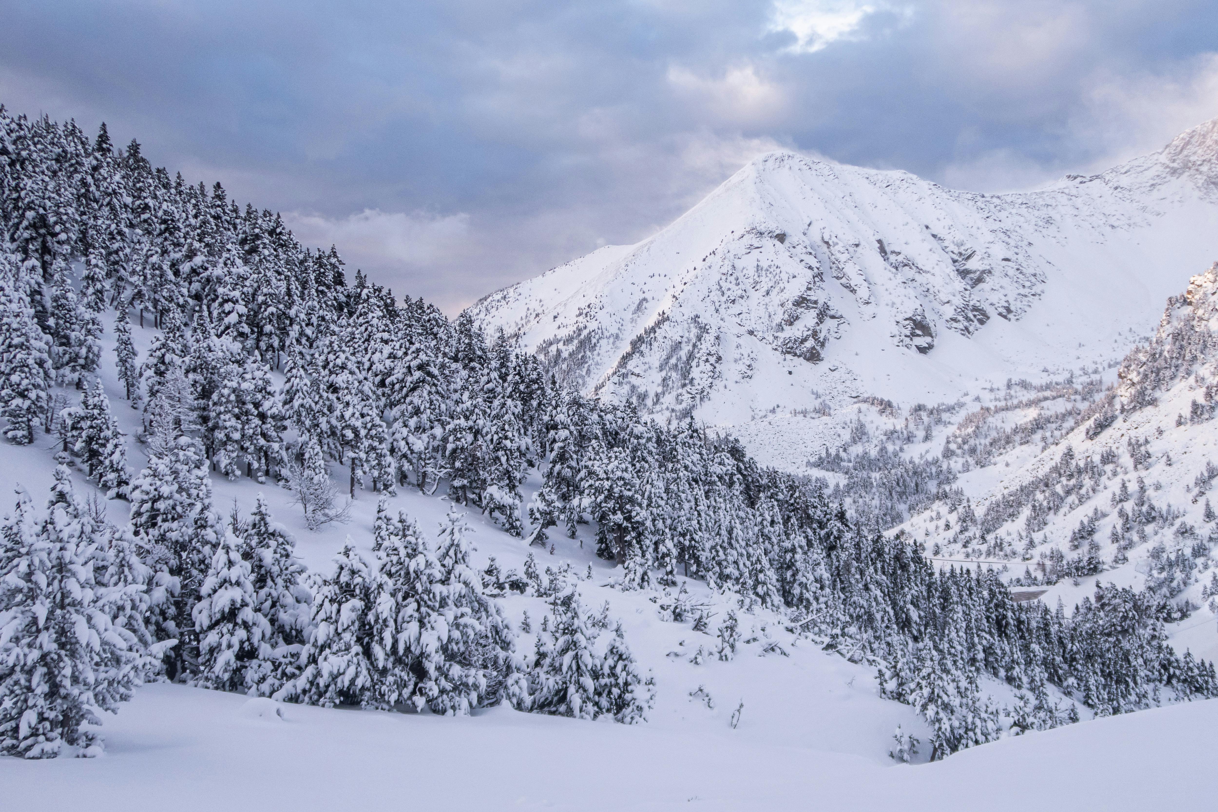 Scenic view of a snow-covered mountain and pine forest under cloudy sky, perfect for winter themes.