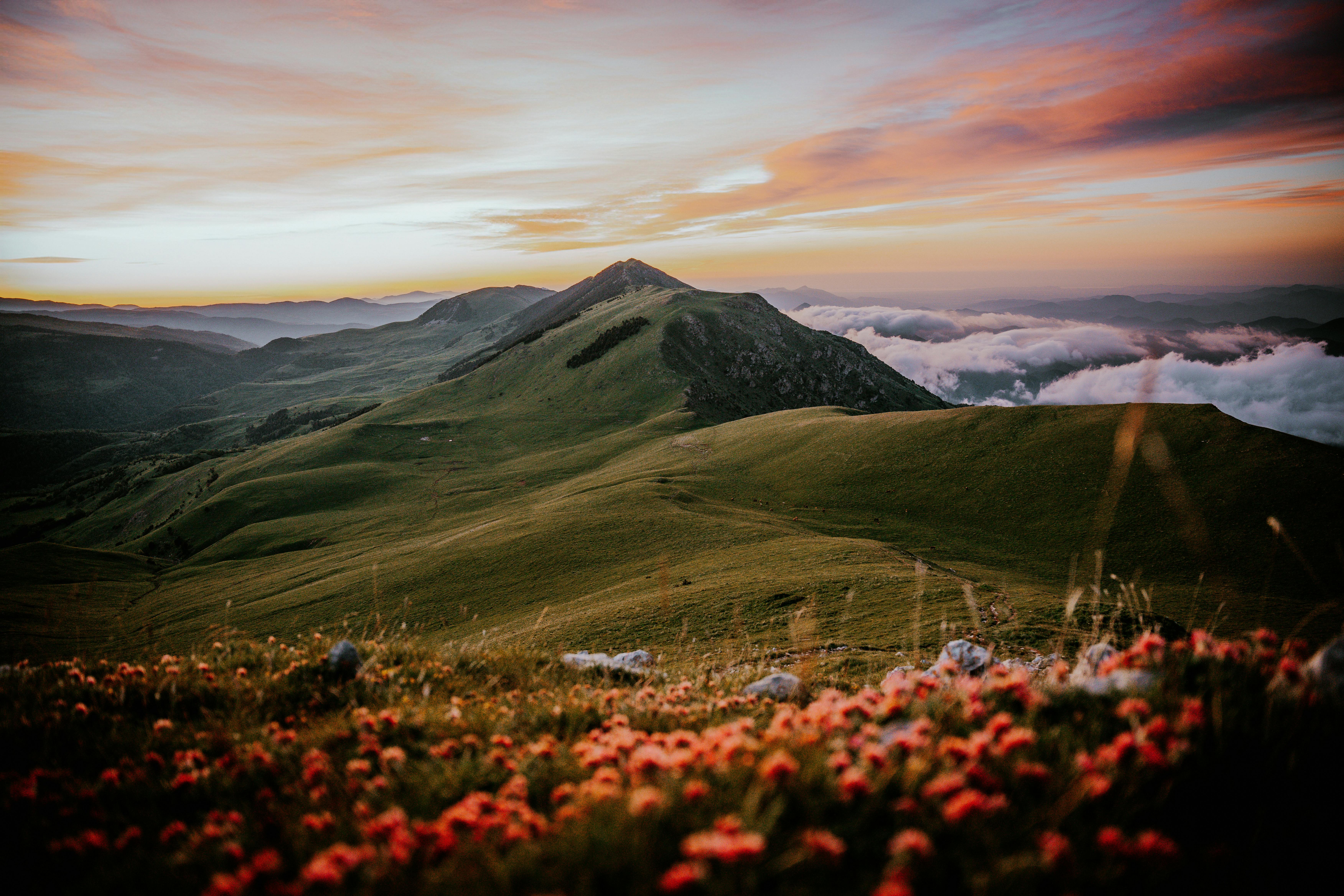 Stunning view of mountains and wildflowers at sunrise, enveloped by clouds and vivid colors.