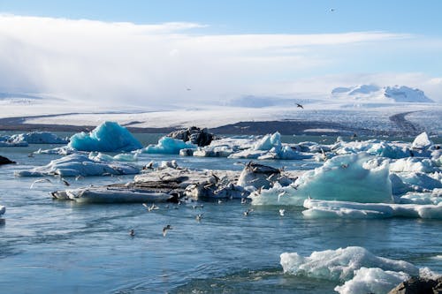 Ingyenes stockfotó gleccserek, hideg, Izland témában