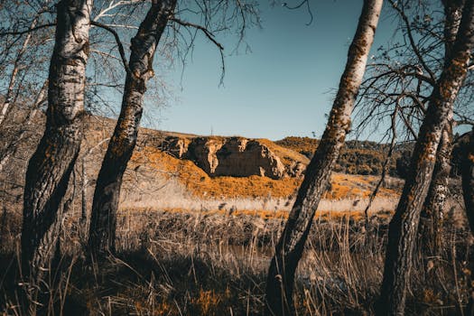 Image by Ivan Georgiev